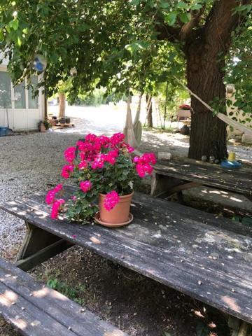 Agriresidence San Pietro * Bibione